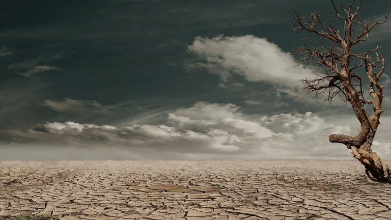 «Laudate Deum», el grito del Papa para responder a la crisis climática