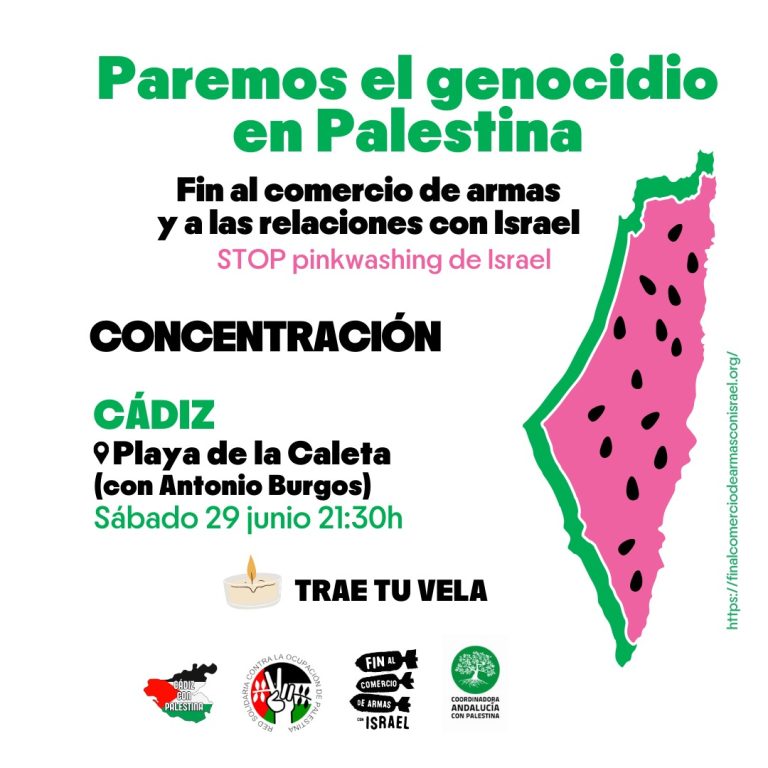 29 y 30 de junio: 6ª Movilización Estatal por Palestina. Paremos el genocidio. Stop Pinkwashing Israel