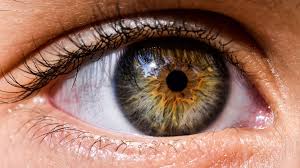 Convocatoria del IV Foro social de la discapacidad visual: «Mayores con derechos» -- Ricardo Gayol, Coordinador del Foro,