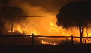 Incendios y negacionismo climático: una crisis anunciada -- José Carlos Enríquez Díaz